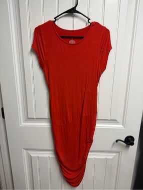 Liz Lange orange short-sleeve Bodycon dress